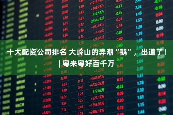 十大配资公司排名 大岭山的弄潮“鹅”，出道了！| 粤来粤好百千万