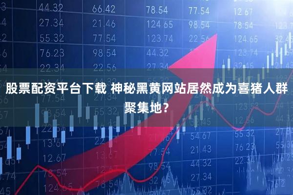 股票配资平台下载 神秘黑黄网站居然成为喜猪人群聚集地？